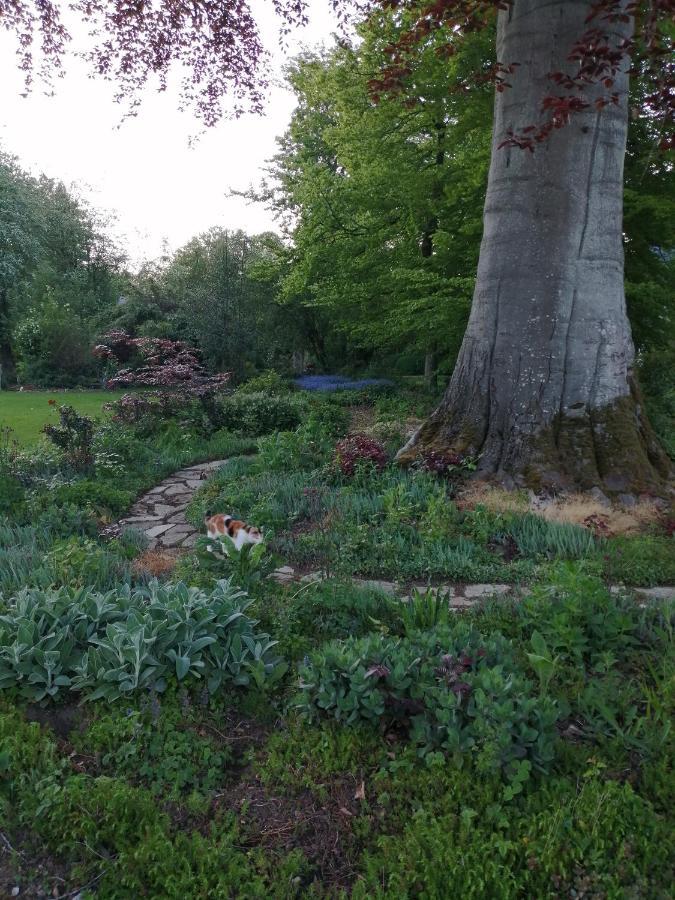 Le Notre Le Domaine Des Jardins De Bracquetuit