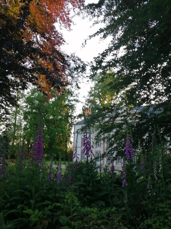 André Le Nôtre Dans Château Xix ème Séjour chez l'habitant