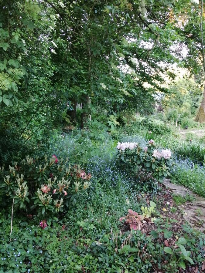 Le Notre Le Domaine Des Jardins De * Bracquetuit