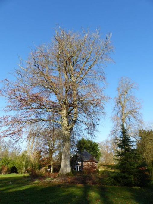 Séjour chez l'habitant André Le Nôtre Dans Château Xix ème